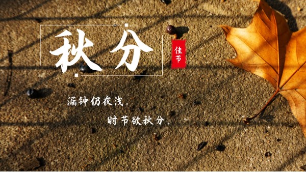 樓上樓門窗 | 白露秋分夜,一夜冷一夜，高端門窗安排上！